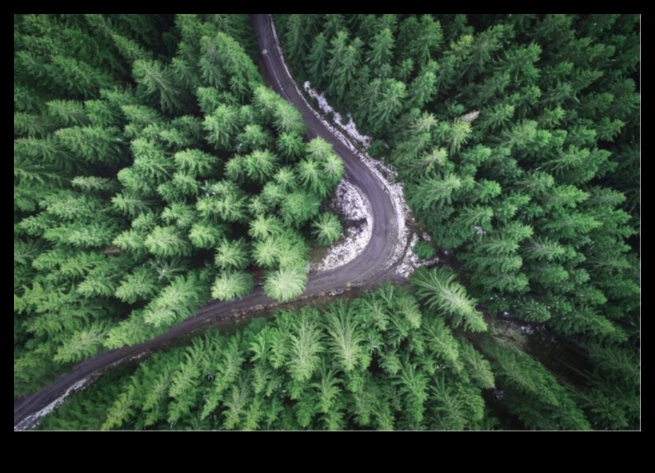 DIY dronu fotogrāfija: uzlabojiet savu perspektīvu