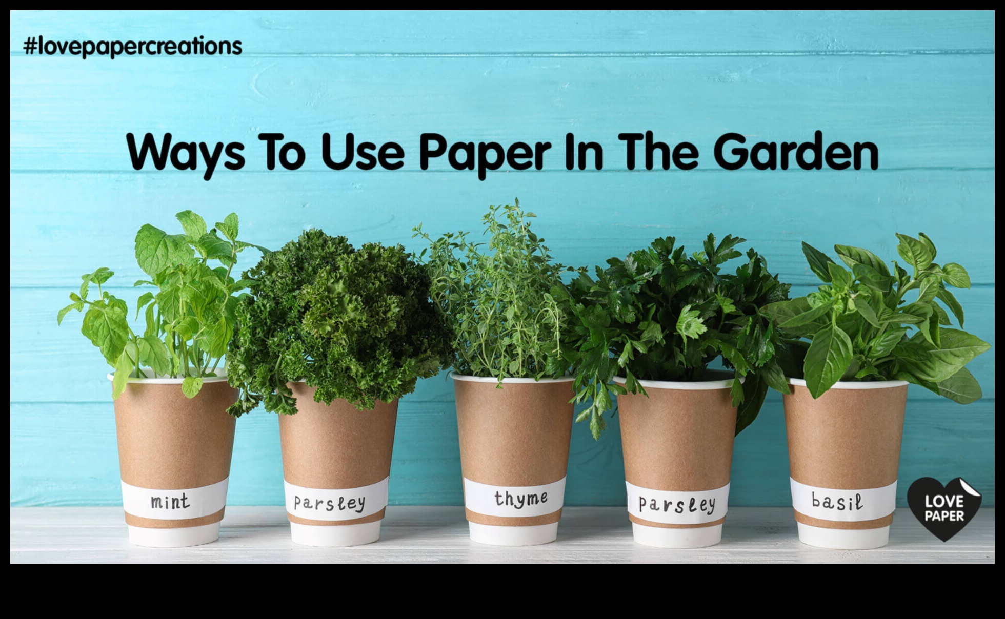 DIY papīra amatniecības stādītāji: ienesiet savā telpā apstādījumus